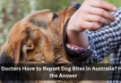 Do Doctors Have to Report Dog Bites in Australia