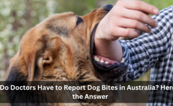 Do Doctors Have to Report Dog Bites in Australia