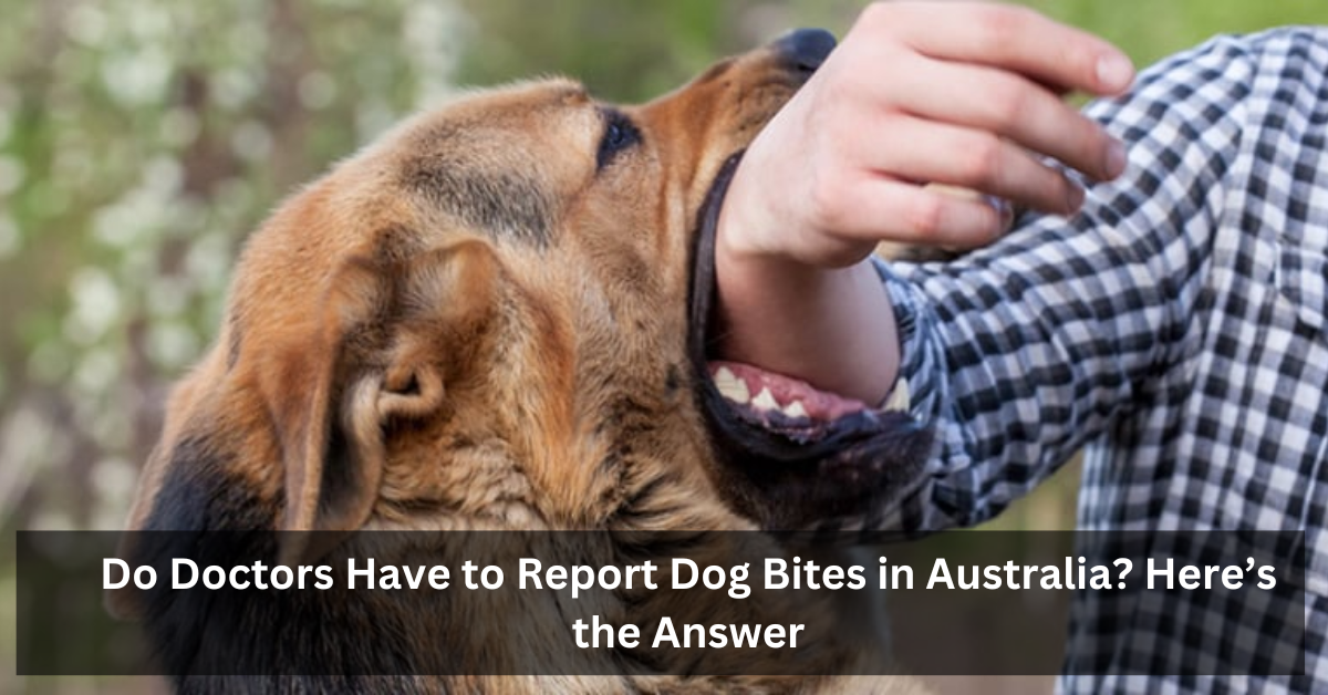 Do Doctors Have to Report Dog Bites in Australia